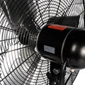 Hunter Pedestal Fan