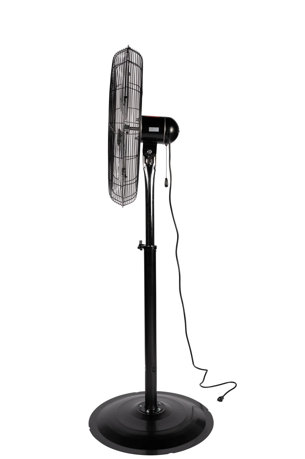 Hunter Pedestal Fan